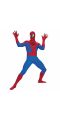 Costume ufficiale THE AMAZING SPIDER-MAN super lusso