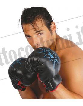 Guantoni da BOXE