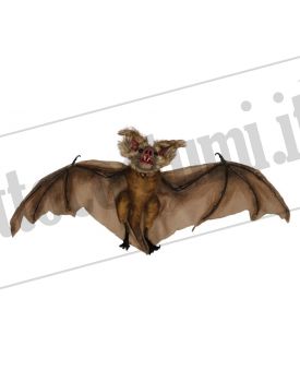 Pipistrello 60 cm