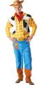 Costume ufficiale WOODY