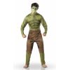 Costume HULK