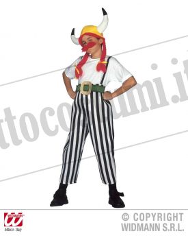 Costume GAULOIS (OBELIX)