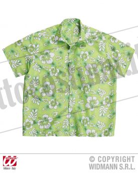 Camicia HAWAIANA verde