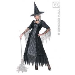 Costume Spiderweb Witch