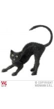Gatto nero vellutato